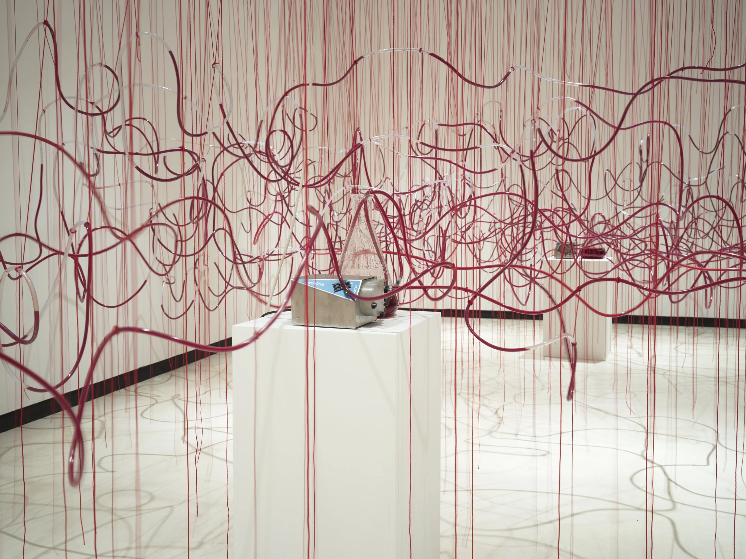 CHIHARU SHIOTA–塩田千春